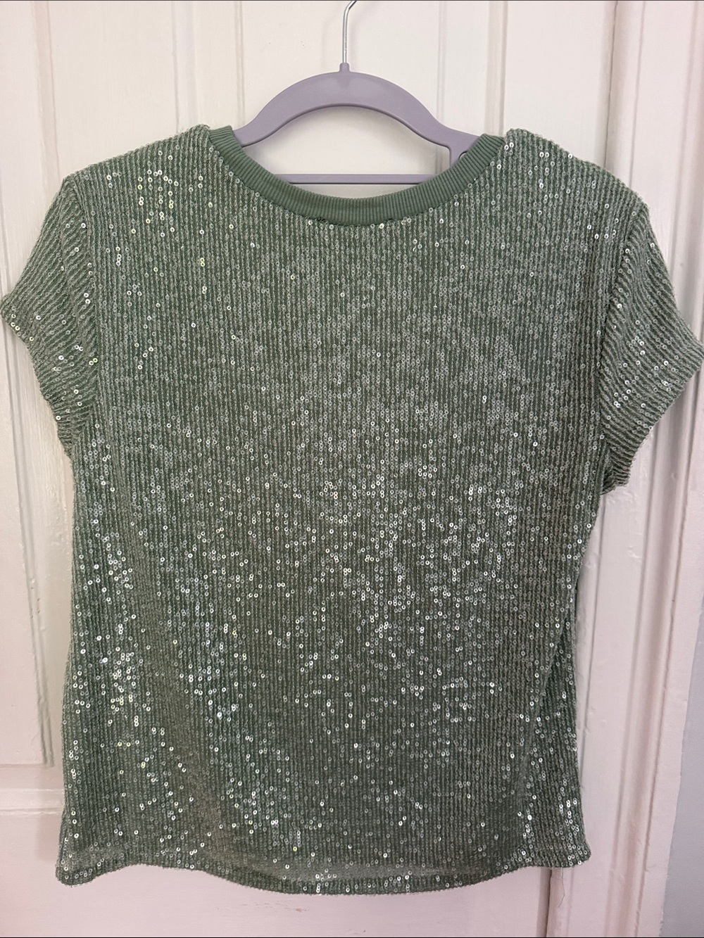 Cable & Gauge Sage Green Sequin Ribbed Short Sleeve Top - Picture 4 of 4